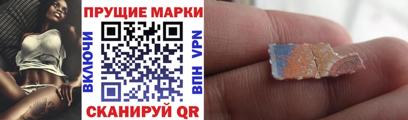дарнет шоп  Данилов  Марки N-bome 1,5мг 