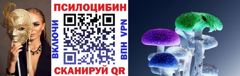 Псилоцибиновые грибы мицелий  omg   Данилов  купить наркотики сайты 